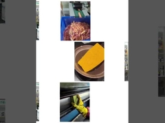 সেরেস স্পঞ্জ