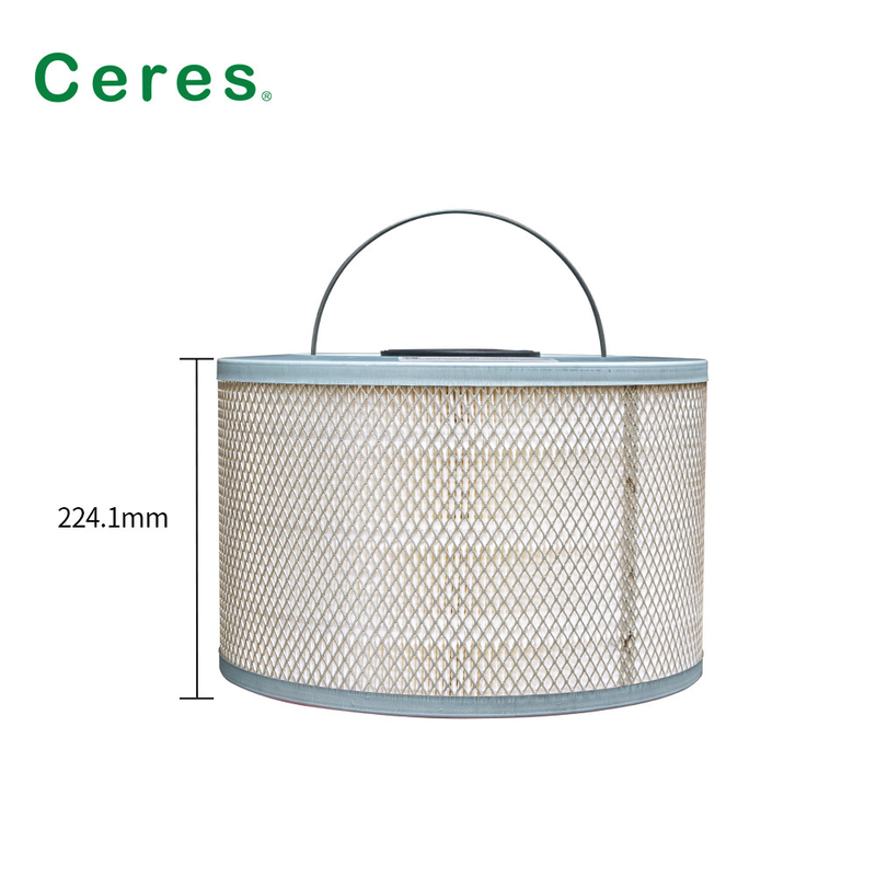 25211119A-C Ctp কোডাক এয়ার ফিল্টার 224.1mm উচ্চতা